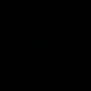 Meet your Posher, Carmen